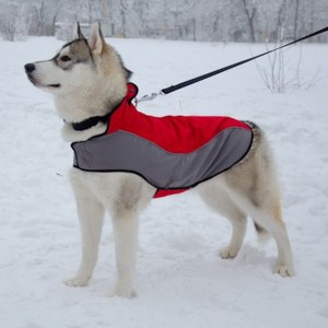 Осенняя накидка дождевик для сибирской хаски «Raincoat Cape»